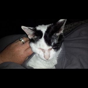 Meet your Posher, Jennjennifer